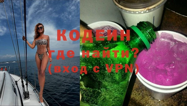 прущие грибы Абаза