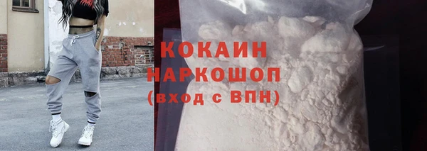 прущие грибы Абаза