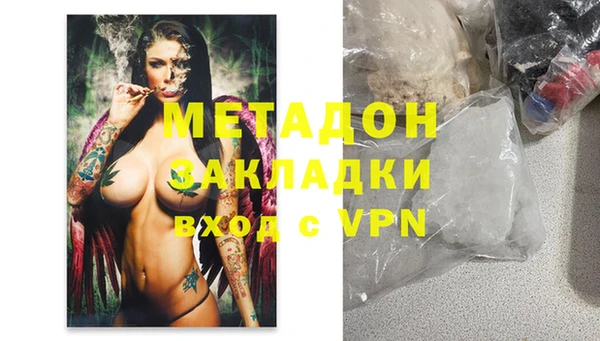 прущие грибы Абаза