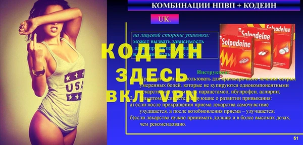 прущие грибы Абаза