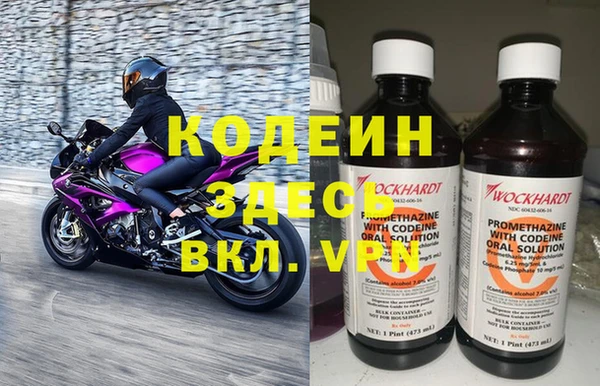 прущие грибы Абаза